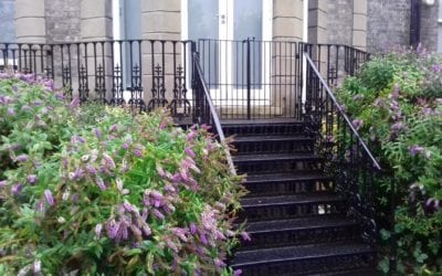 Let’s go into the garden