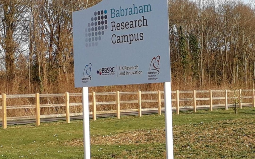 Staircase Survey – 31 Staircases & Ladders, Babraham Research Campus, Cambridge