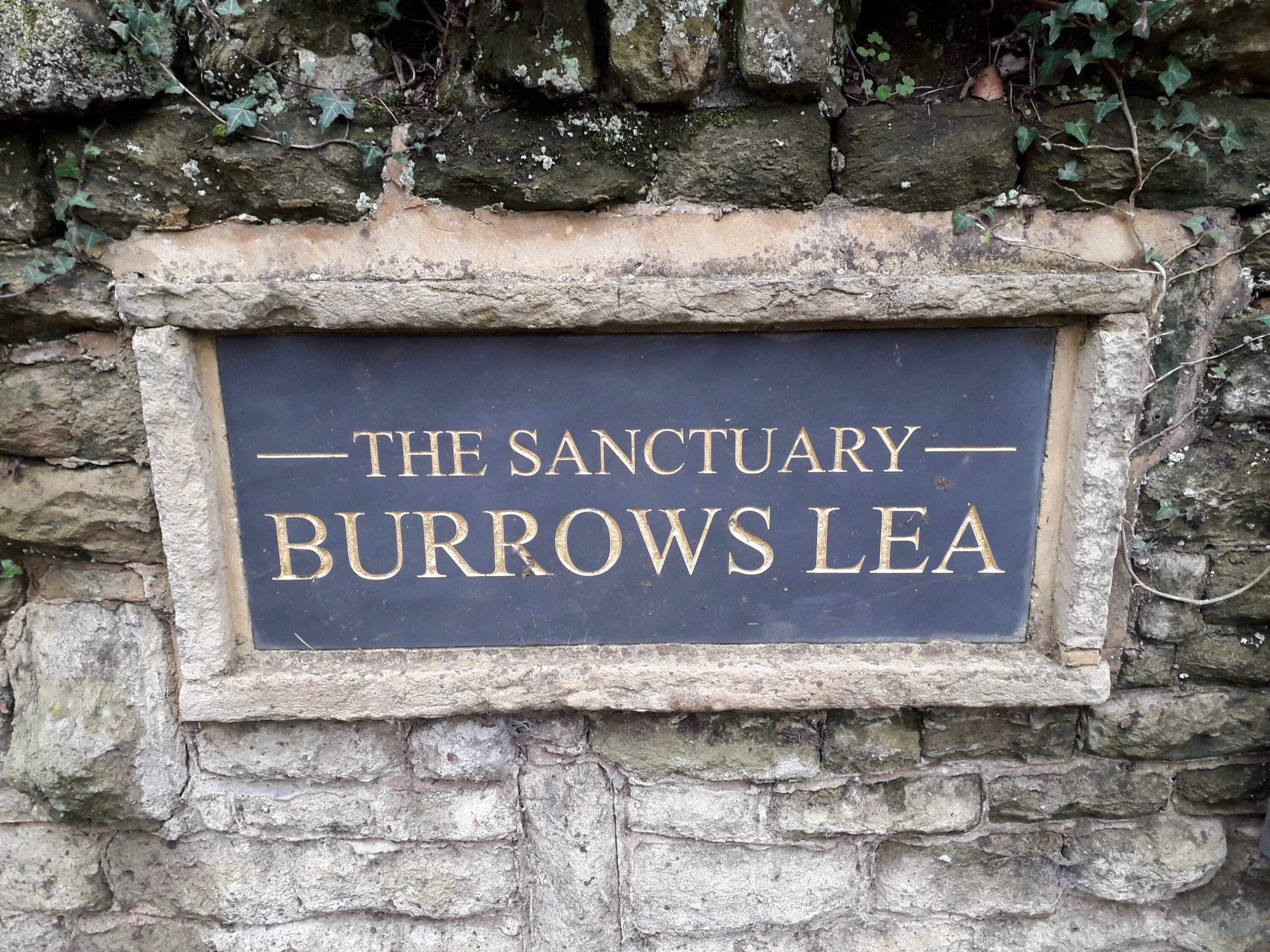 Inspection of 2 Fire Escapes, Burrows Lea spiritual healing centre & wedding venue, Shere, Surrey 1