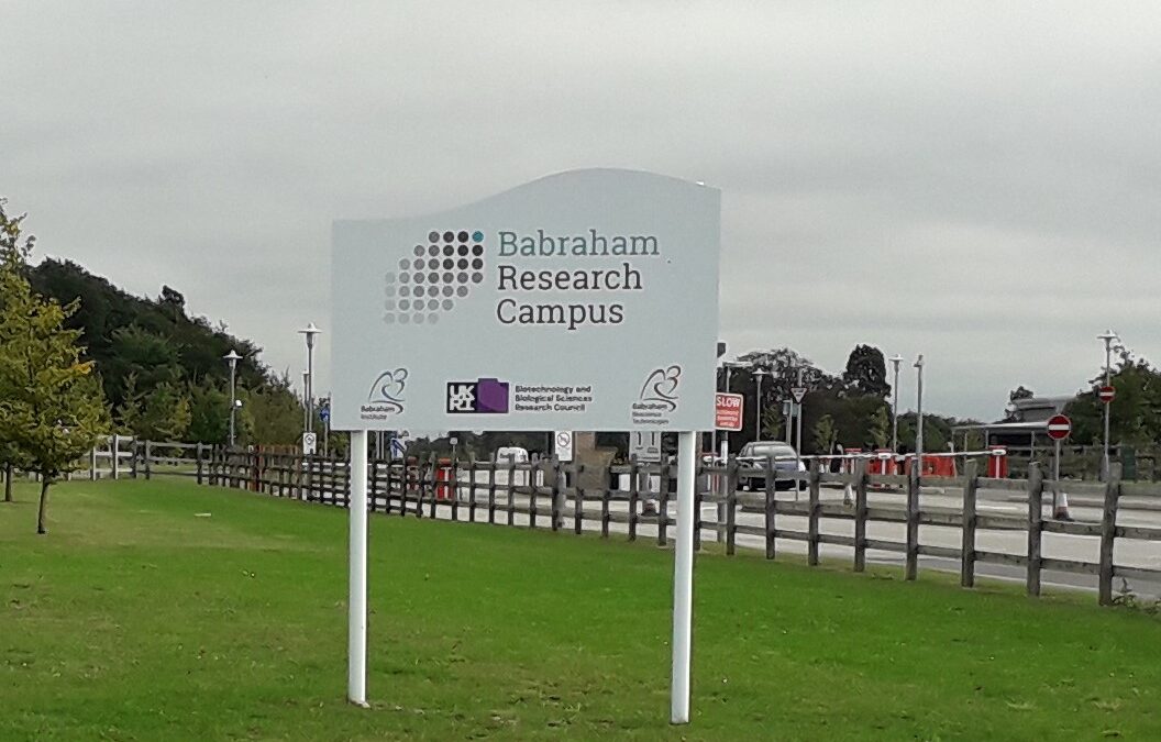Staircase Survey – 37 Staircases & Ladders, Babraham Research Campus, Cambridge