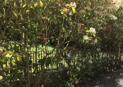 New Garden Railings, Theydon Bois, Essex 3