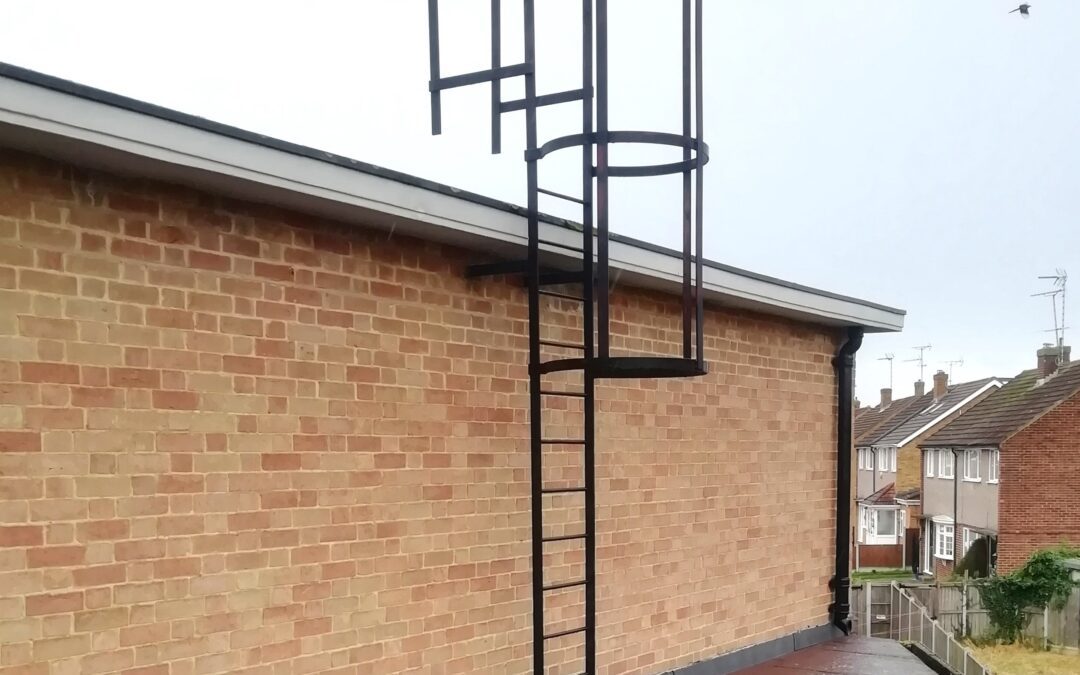 Inspection of Cat Ladder, Chelmsford, Essex
