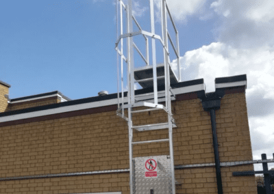 Cat Ladder Inspection, St. Adrian’s Primary School, St. Albans, Hertfordshire