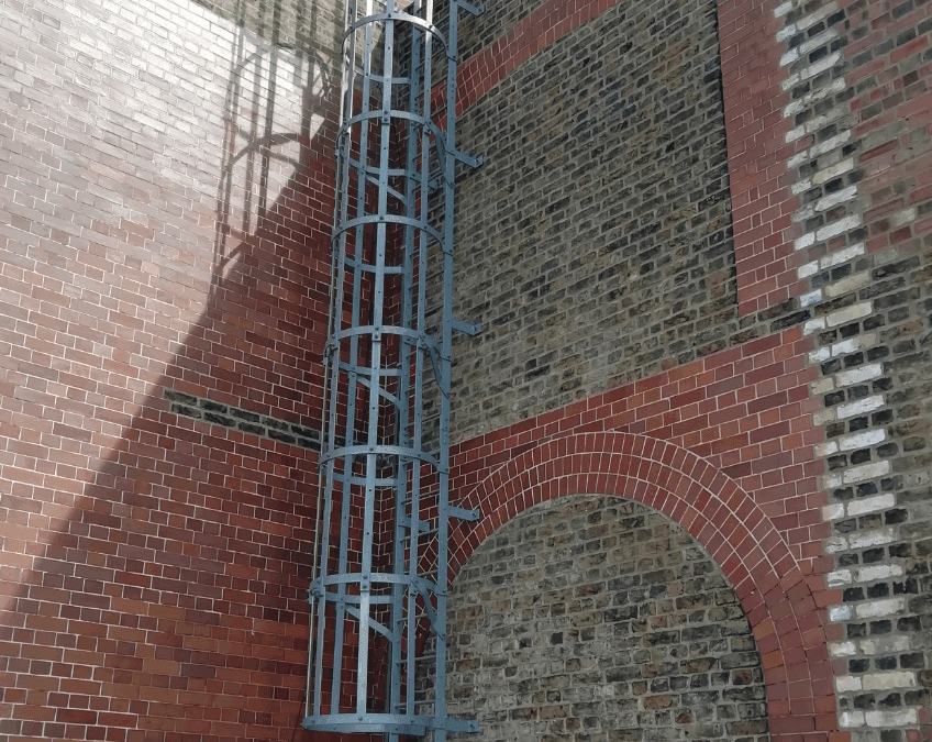 Cat Ladder & Roof Guardrail, Earlsfield Primary School, London SW18